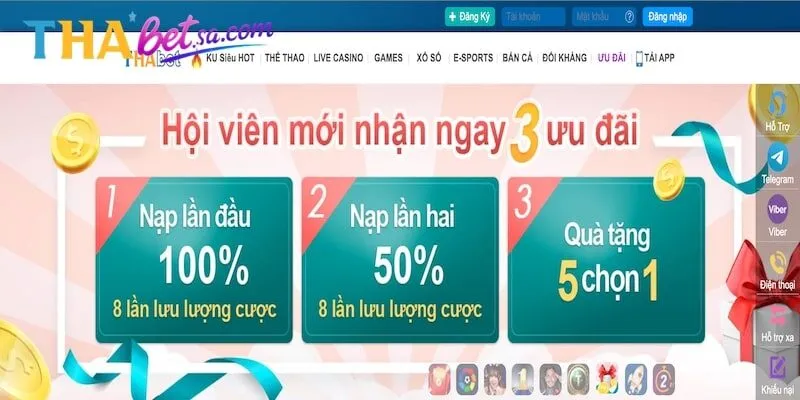 Các điều kiện chung về khuyến mãi cược thể thao Thabet