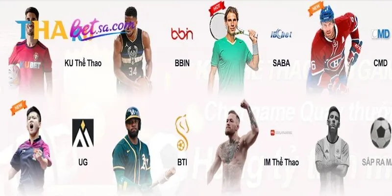 Giới thiệu về cá cược thể thao Thabet