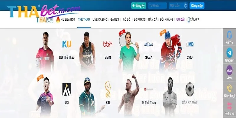 KHUYẾN MÃI CƯỢC THỂ THAO THABET KHỦNG HIỆN NAY